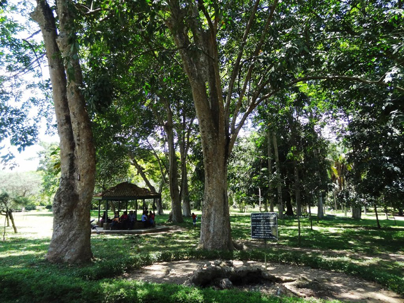 Gampaha Botanical Garden