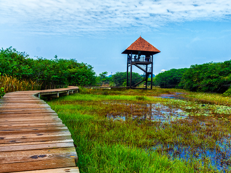 Beddagana Wetland Park