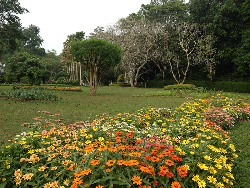 Henarathgoda Botanical Garden